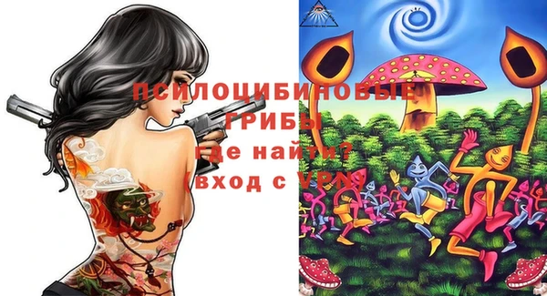 первитин Горнозаводск