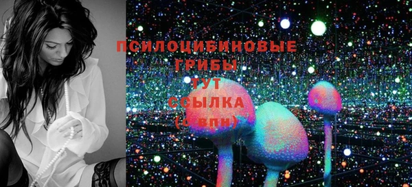 первитин Горнозаводск