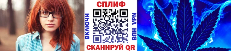 Каннабис планчик  ОМГ ОМГ вход  Обоянь  где продают  